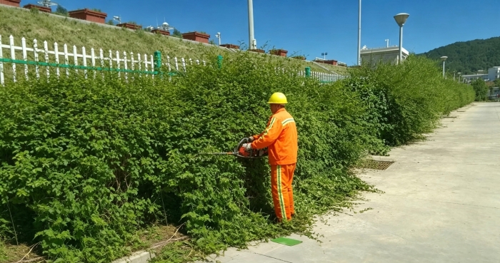 养护分公司张家口分中心崇礼养护队：高温攻坚除草作业 持续优化路域环境1